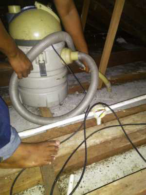 kelawar4